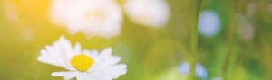 Incontinence Products