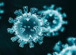 Corona Virus Black and Blue Photo