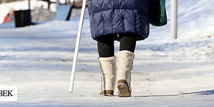 Doubek-Winter walking cane